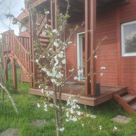 Joevo Het Pihenohaz Villa Poroszló Dış mekan fotoğraf